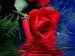 GURMEET