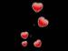  Shama