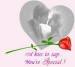 Aldalove