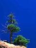 Deepak_001