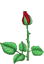  Favour4r