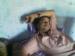 Mithu_jee40