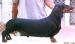  Sachinanant