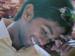 Saurabh37