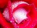 Sumon