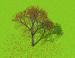 Vishal_r1